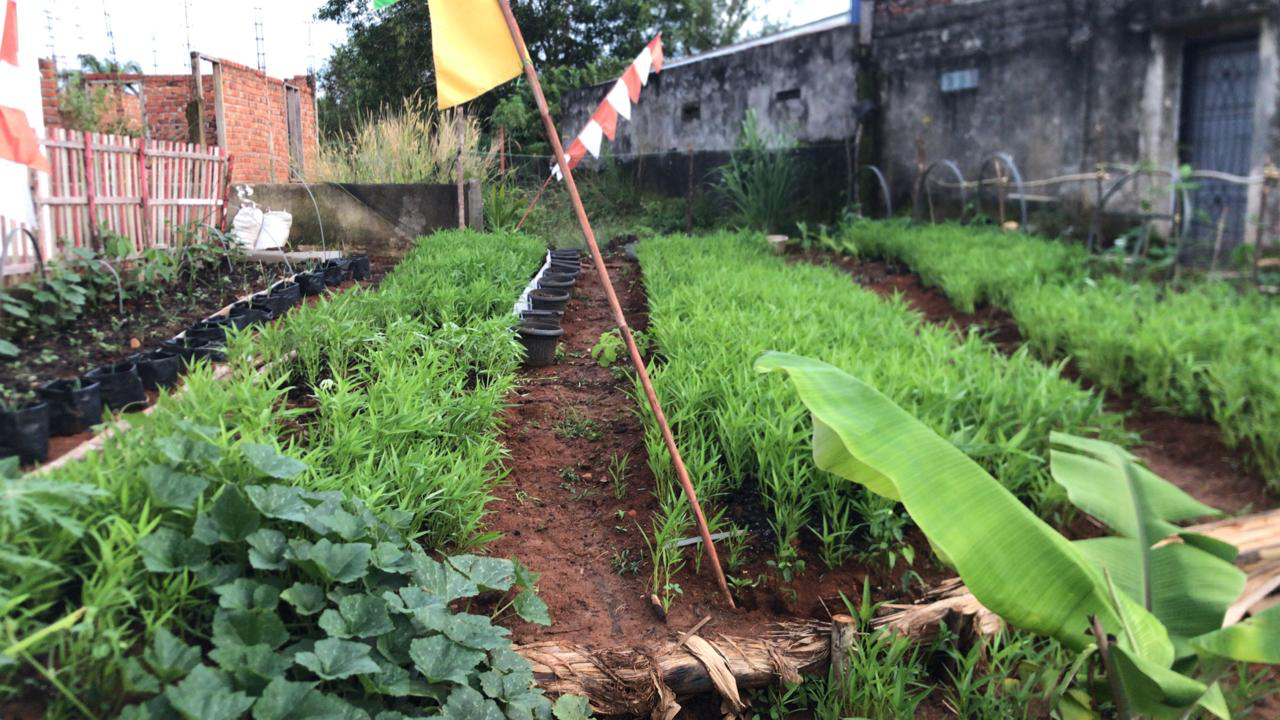 Taman Bermain Hijau
